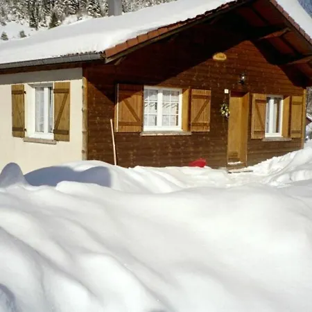 Confortable A La Bresse, Proche Ski, Wifi, Animaux Acceptes - Fr-1-589-130 Ла-Бресс