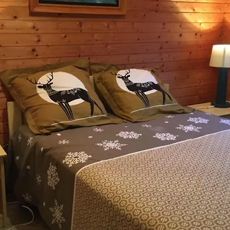 Confortable A La Bresse, Proche Ski, Wifi, Animaux Acceptes - Fr-1-589-130 * Ла-Бресс