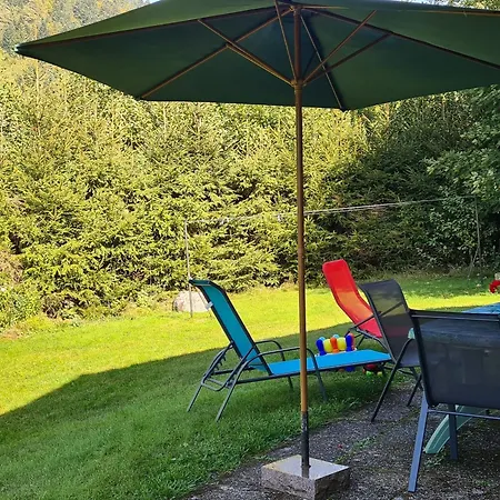 Confortable A La Bresse, Proche Ski, Wifi, Animaux Acceptes - Fr-1-589-130 * Ла-Бресс