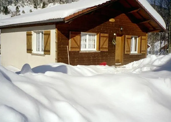 Confortable A La Bresse, Proche Ski, Wifi, Animaux Acceptes - Fr-1-589-130 La Bresse