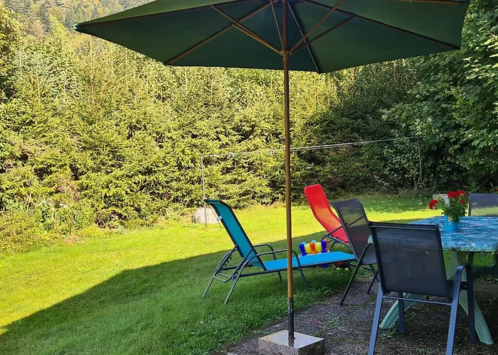 Confortable A La Bresse, Proche Ski, Wifi, Animaux Acceptes - Fr-1-589-130 * La Bresse